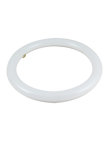 Tubo LED circular T9. 20W. 6500 K.